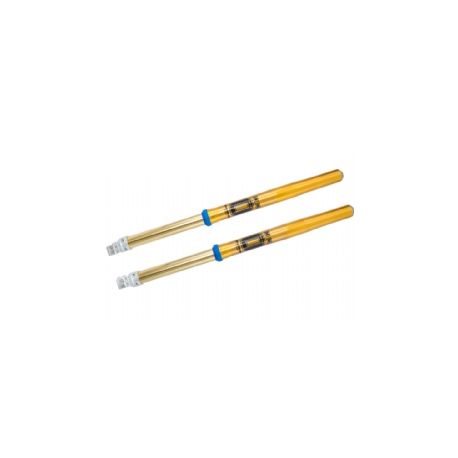 Suspencion Del   FGSU 1796   Öhlins